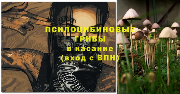 стаф Абаза