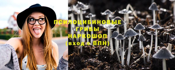 стаф Абаза
