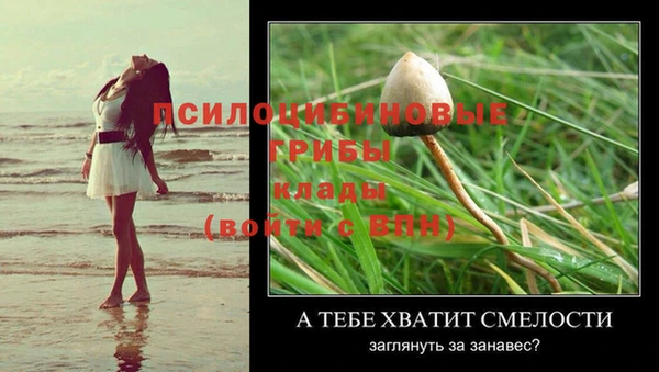 стаф Абаза